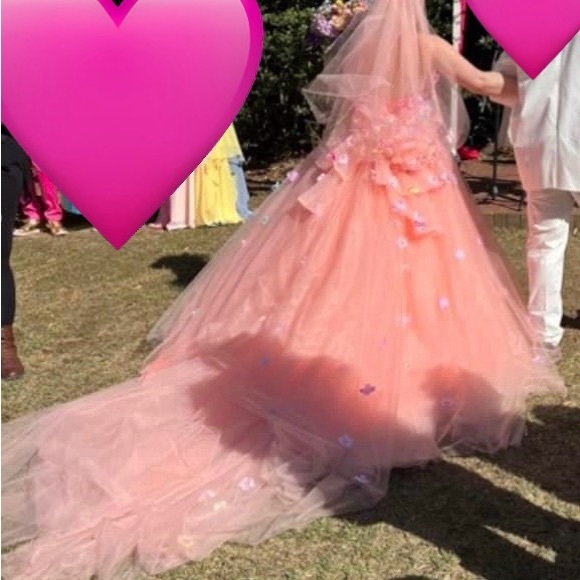 ( DM 1st) Peach Tulle Floral Appliqué Wedding or Quinceañera Gown Size 12-14 - Picture 5 of 16